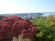 鶴亀松竹梅扇さんの舘山寺ロープウエイ大草山展望台の投稿写真4