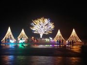 なおさんの国営越後丘陵公園の投稿写真1