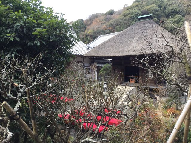 佛日庵