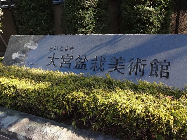 大宮盆栽美術館_さいたま市大宮盆栽美術館
