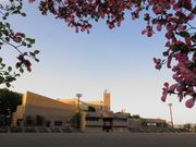 みずほ5525さんのスカイホール展望広場の投稿写真5