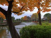 みずほ5525さんの狭山池の投稿写真7