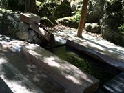 カフェモカさんの天守閣自然公園の投稿写真1