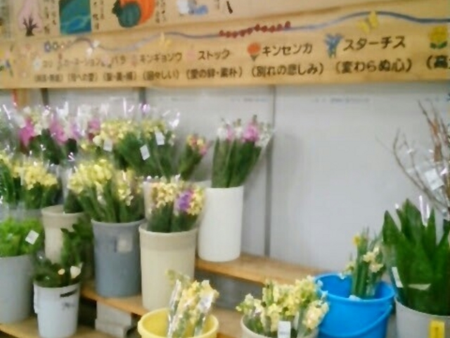 『季節の切り花』。_ながさ観光農園