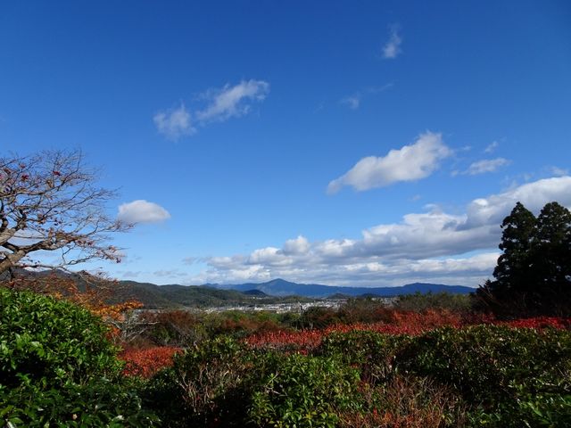 大河内山荘庭園