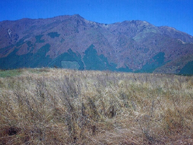 まつりさんの毛無山の投稿写真1