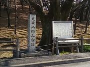 ぴろーしきさんの八幡山古墳の投稿写真1
