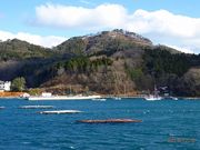 マックさんの気仙沼ベイクルーズの投稿写真15