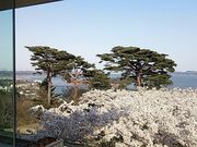 tommyさんのカフェ ロワンの投稿写真7