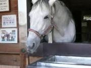 しゅう029さんの多度大社(北伊勢大神宮)の投稿写真1