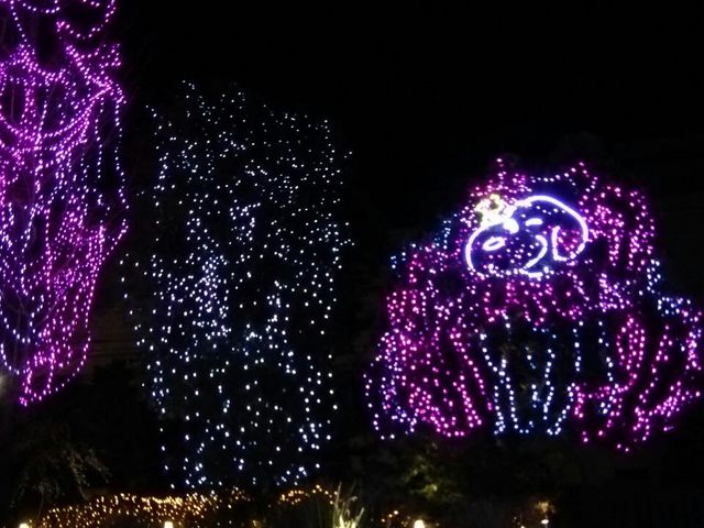 夜に訪れるのも。_スヌーピーミュージアム