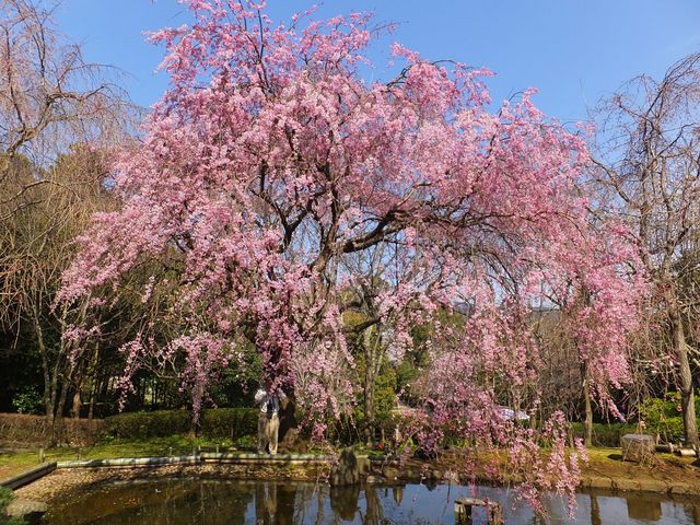 荒井城址公園