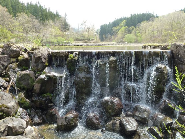 散策路にて_たきがしら湿原
