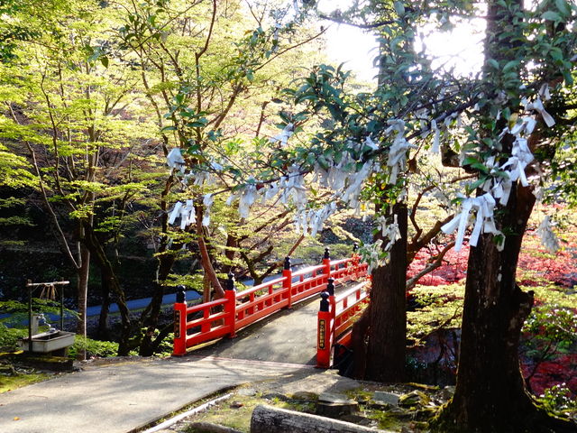 しどーさんの養父神社の投稿写真2