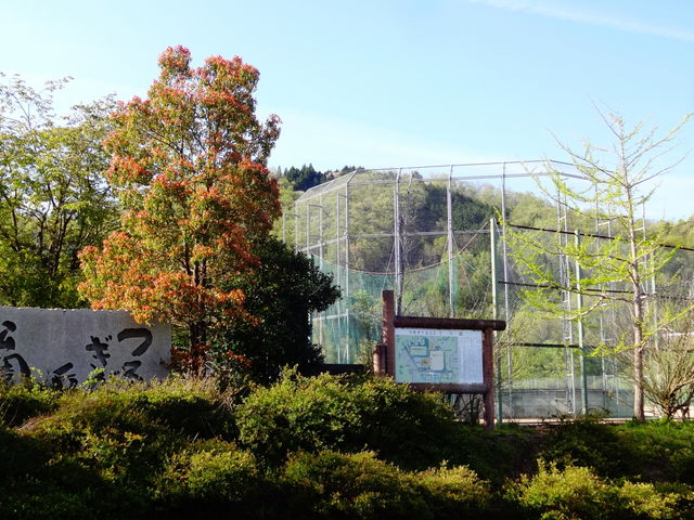 しどーさんのつるぎが丘公園の投稿写真1