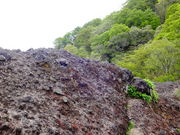 しどーさんの青葉山の投稿写真5