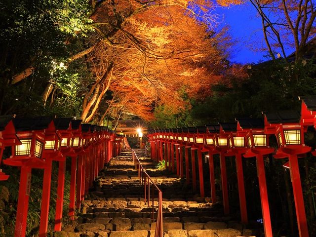 モミジの木_貴船神社