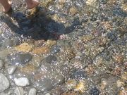 るかおりさんのViNAWALKの投稿写真1