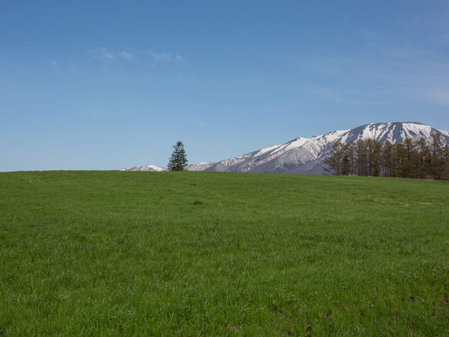 草原と岩手山_岩手山(岩手県雫石町)