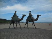 hiroさんの月の沙漠記念公園の投稿写真1