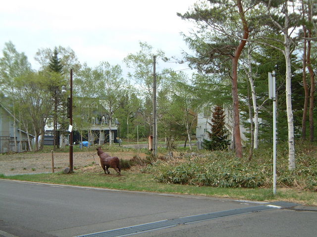 安比高原