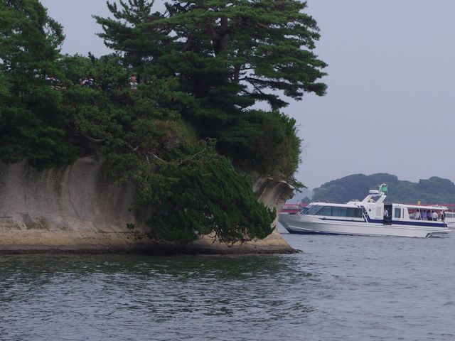 松島
_松島湾観光汽船