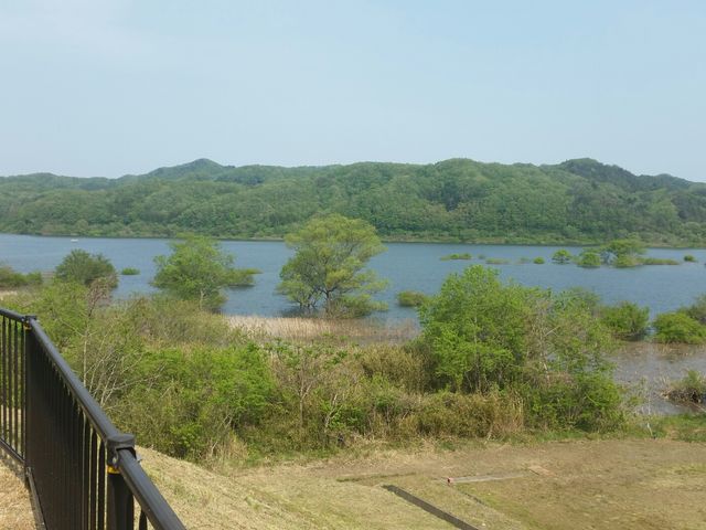 釜房湖畔の景色_かもしか茶屋