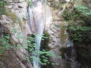 eriさんの寂地峡五竜の滝の投稿写真4