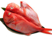 コウさんのひもの専門店 平田屋の投稿写真5