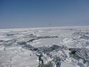 キヨさんの流氷の投稿写真1