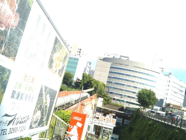 市ヶ谷フィッシュセンター
