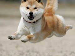 ののかさんの大通公園の投稿写真1