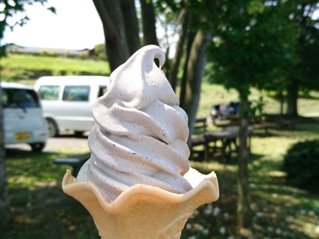 そばソフトクリーム_道の駅 東山道伊王野