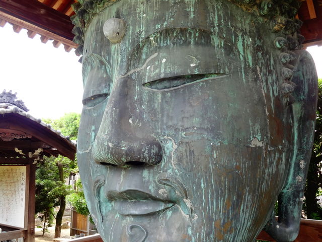 無量光寺_無量光寺
