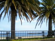 usaさんの伊東オレンジビーチの投稿写真1