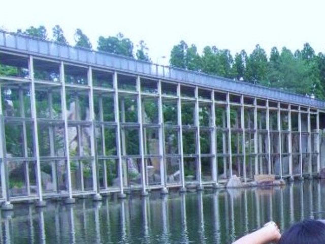 高さ10メートルにも及ぶ、見ごたえのある観月橋です。_けいはんな記念公園