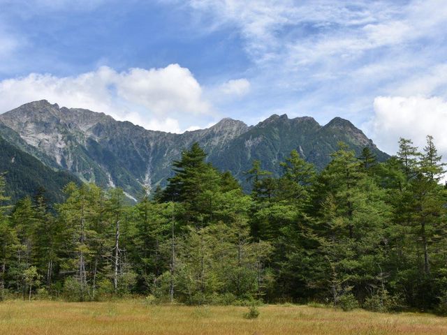 上高地 田代湿原_田代湿原