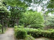 トロムソさんの清水谷公園の投稿写真1