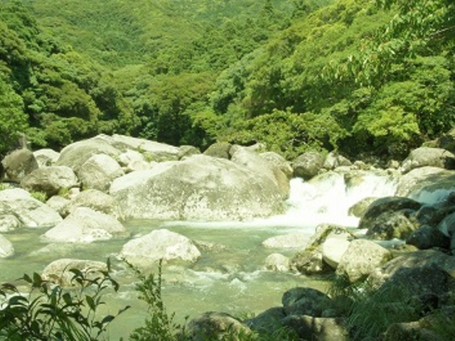 河原へ_横川渓谷