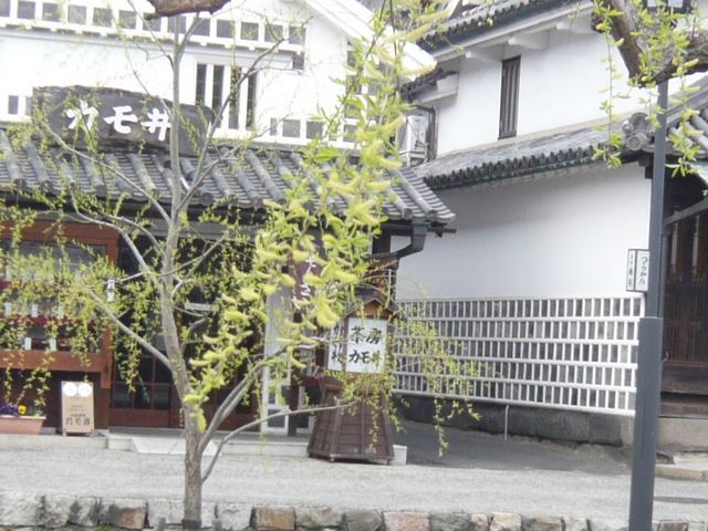 お店_お食事処 カモ井