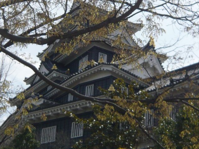 お城_お城茶屋ゆき