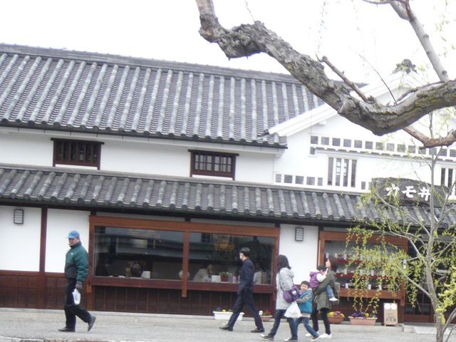 お店_お食事処 カモ井寿司