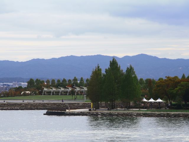 公園_大津湖岸なぎさ公園