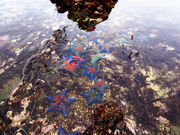 あちきさんの平磯海水浴場の投稿写真1