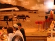 こうむさんの島唄ライブおばぁの家 海音 みおんの投稿写真1