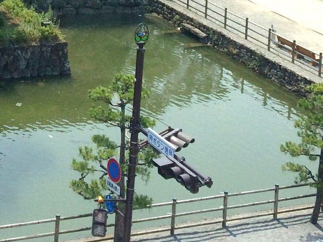 池の風景_高知公園