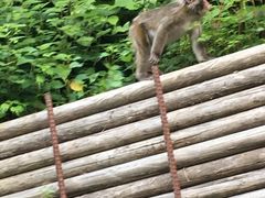 ike55jpさんの白山白川郷ホワイトロードへの投稿写真1