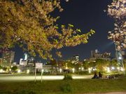 トロムソさんの扇町公園の投稿写真1