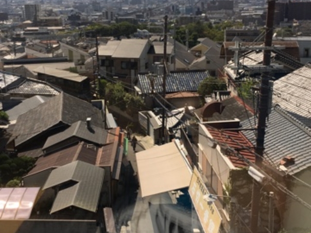 この右手に大仏があります。大仏を目印にすると良いでしょう。_レガーロ 石切