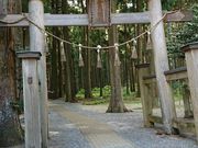 まるちゃんさんの青玉神社の投稿写真1